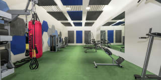 Cypress Creek Gallery 6