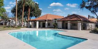 The Place at Desert Springs Gallery 17