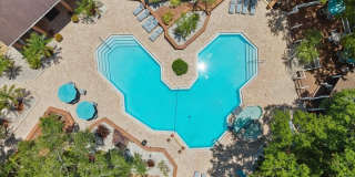 8641 FANCY FINCH DRIVE Gallery 26