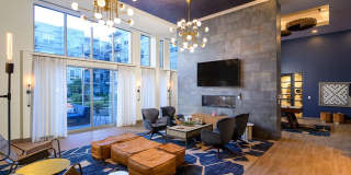 Vero Apartments Gallery 43