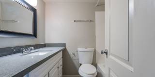 Arcadia Haus Gallery 6