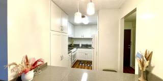 303 Liliouakalani St Unit 301Suite 714 Gallery 19