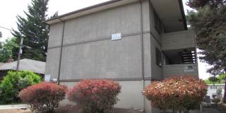 1240wa 1240wa Gallery 1