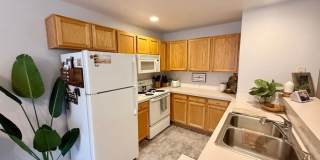 5225 White Willow Drive Gallery 5
