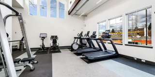 Allegro Lynwood Gallery 48