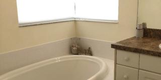 3BR/2BA/1CG Seasonal Rental in Courtyards of Gondola Park 3BR/2BA/1CG Seasonal Rental in Courtyards of Gondola Park Gallery 27