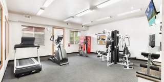 River View Collection Gallery 10