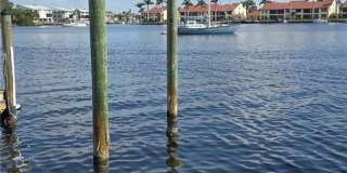 434 Tudor Drive unit: 1H Gallery 24