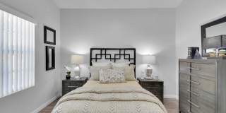 La Serena at the Parque Gallery 4