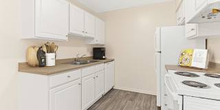 ReNew at the Grove Gallery 3