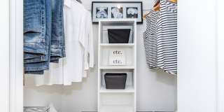 Autumn Wood Gallery 7