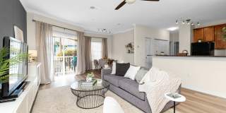 TGM University Park Gallery 4