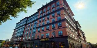 The Marquis Gallery 11