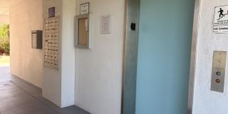 3009 N Halifax Avenue Gallery 6
