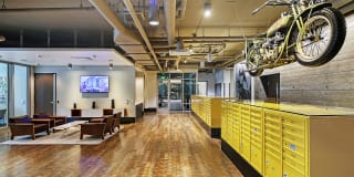 Excelsior Gallery 11