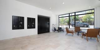 615 Peace Gallery 17