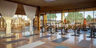 Sanctuary Gallery 21