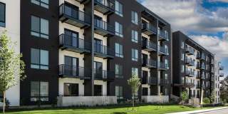 Vine at Panorama Gallery 12