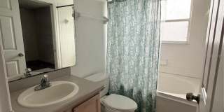 2918 BLOOMING ALAMANDA Loop Gallery 17