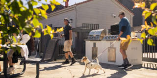 Renew on Summerfield Gallery 22