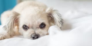 Piñon Lofts Gallery 27