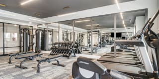 The Everly Gallery 21