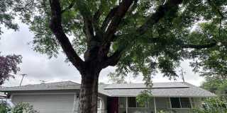 1506 Manzanita Lane Gallery 1