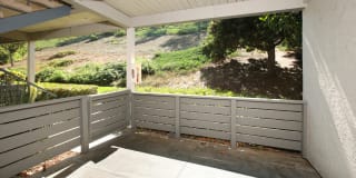 Windridge Gallery 13