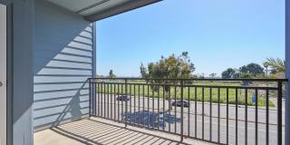 The Willows Gallery 52