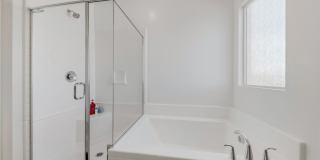 290 Robson Ridge Lane Gallery 19
