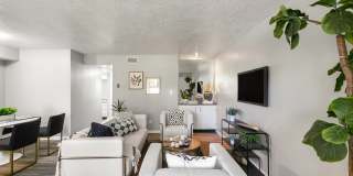 Rancho Verde Apartments Gallery 5