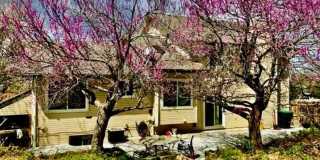 4BR/4BA Updated Home with Finished Basement Suite & Landscaped Yard Gallery 20