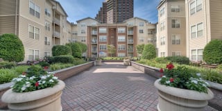 Windsor at Liberty House Gallery 6