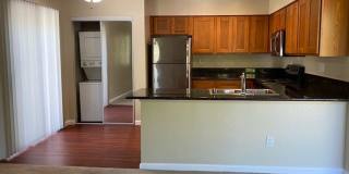 Carmel Woods Gallery 33