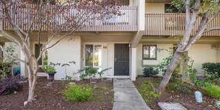 3031 Flora Vista - 4 bedroom | 2.5 bath | Townhouse Gallery 1