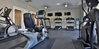 Island Club Gallery 15