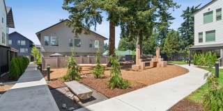 Fir Grove Gallery 24