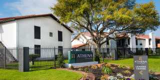 Athena Athena Gallery 14
