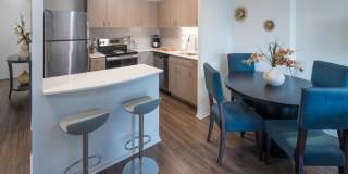 1132 N Dearborn St Gallery 1