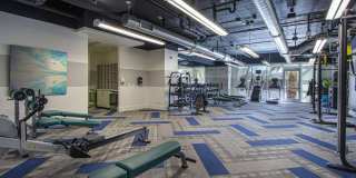 Mason Oliver Apartments Gallery 45