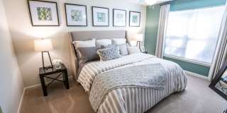 Salisbury Village at Castlewood Gallery 16