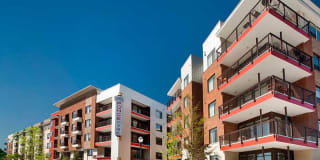 AMLI Ponce Park Gallery 2