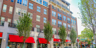 Carolina Square - Student Housing Gallery 1