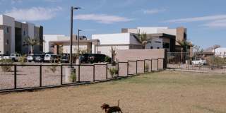 Amavida Marana Gallery 59