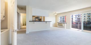 Marina 41 Gallery 10