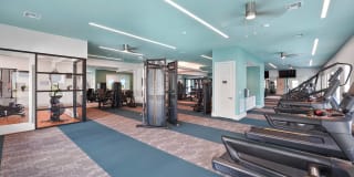 Millennium MetroWest Gallery 3