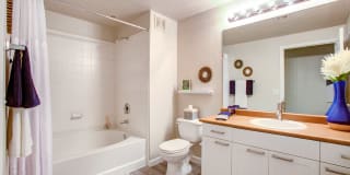 Ironhorse at Tramonto Gallery 24