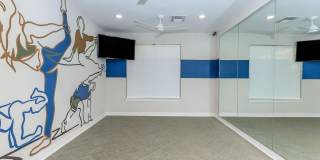 Mason Park Gallery 16