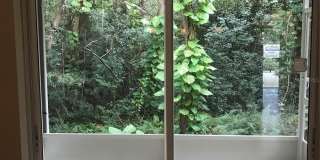 11219 CEDAR HOLLOW LANE Gallery 11