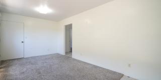 3 Bd 2 ba  1 assigned parking 3463 Keanu Street (downstairs) - $3,000 Gallery 8